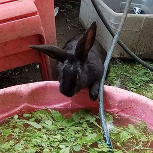 Meet your Posher, Lynn